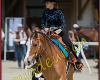 2WESTERN147