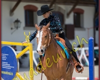 2WESTERN156