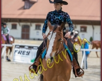 2WESTERN174