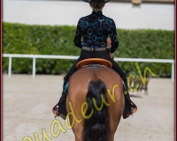 2WESTERN175