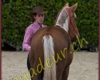 2WESTERN346