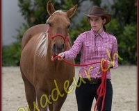 2WESTERN351