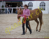 2WESTERN427
