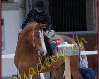 2WESTERN546