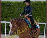 2WESTERN557