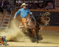2GIVRINS 153