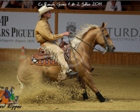 2GIVRINS 155