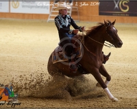 2GIVRINS 175