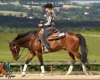 2GIVRINS 257
