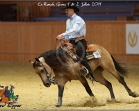 3GIVRINS 1041