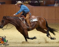 3GIVRINS 1045