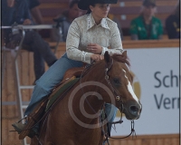 3GIVRINS 375