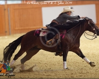 3GIVRINS 683