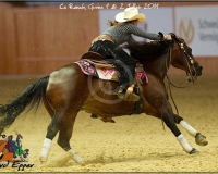 3GIVRINS 685