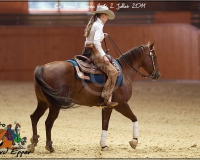 3GIVRINS 755