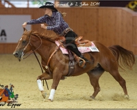 3GIVRINS 833