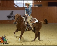 3GIVRINS 852