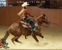 3GIVRINS 878