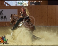 3GIVRINS 897