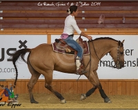 3GIVRINS 949