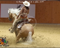4GIVRINS 537