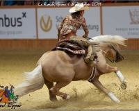 4GIVRINS 541