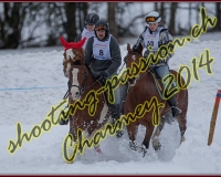 1CHARMEY016
