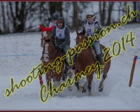 1CHARMEY017