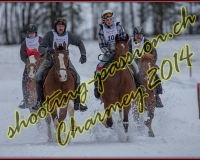 1CHARMEY034