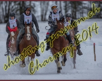 1CHARMEY036