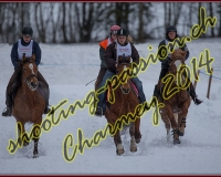 1CHARMEY047