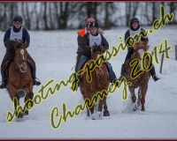 1CHARMEY049