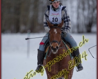 1CHARMEY075