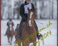 1CHARMEY084