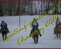 1CHARMEY131