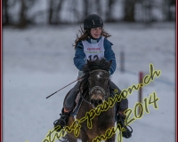 1CHARMEY136