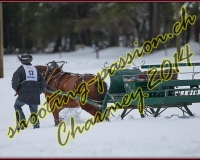 1CHARMEY165
