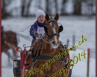 1CHARMEY172