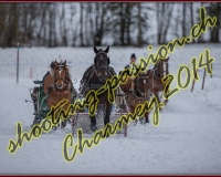 1CHARMEY176