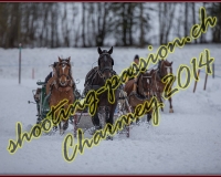 1CHARMEY177