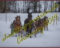 1CHARMEY178