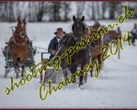 1CHARMEY179
