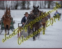 1CHARMEY181