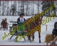 1CHARMEY191