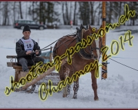 1CHARMEY200