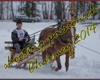 1CHARMEY201