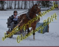 1CHARMEY204