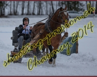 1CHARMEY205