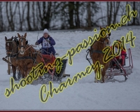1CHARMEY216