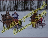 1CHARMEY217